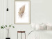 Wall Poster Transience (Beige) - velvety feather in a single color on a white background 125232 additionalThumb 21