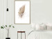 Wall Poster Transience (Beige) - velvety feather in a single color on a white background 125232 additionalThumb 15
