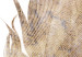 Wall Poster Transience (Beige) - velvety feather in a single color on a white background 125232 additionalThumb 6
