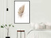 Wall Poster Transience (Beige) - velvety feather in a single color on a white background 125232 additionalThumb 9