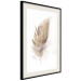 Wall Poster Transience (Beige) - velvety feather in a single color on a white background 125232 additionalThumb 3