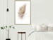 Wall Poster Transience (Beige) - velvety feather in a single color on a white background 125232 additionalThumb 10