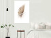 Wall Poster Transience (Beige) - velvety feather in a single color on a white background 125232 additionalThumb 11