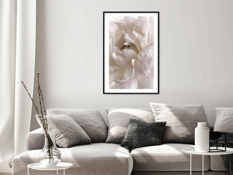 Poster Fluffy Absent-mindedness - white velvety flower in light composition 127832 additionalImage 18