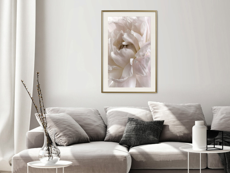 Poster Fluffy Absent-mindedness - white velvety flower in light composition 127832 additionalImage 22
