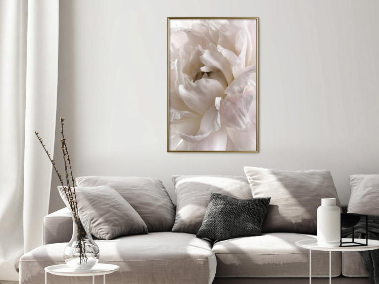 Poster Fluffy Absent-mindedness - white velvety flower in light composition 127832 additionalImage 7