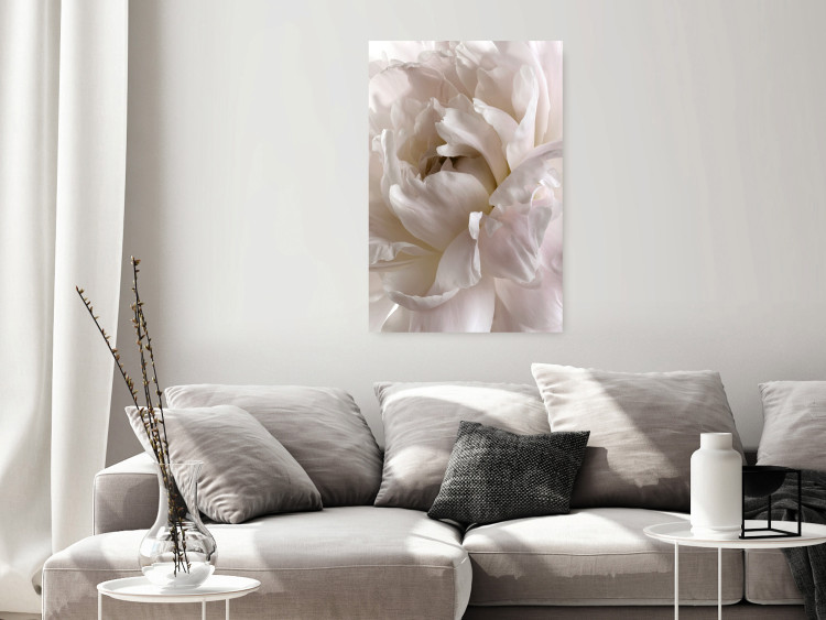 Poster Fluffy Absent-mindedness - white velvety flower in light composition 127832 additionalImage 2