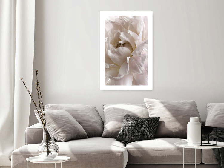 Poster Fluffy Absent-mindedness - white velvety flower in light composition 127832 additionalImage 5