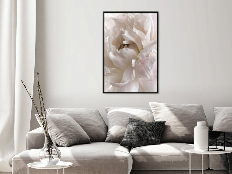 Poster Fluffy Absent-mindedness - white velvety flower in light composition 127832 additionalImage 6