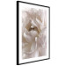 Poster Fluffy Absent-mindedness - white velvety flower in light composition 127832 additionalThumb 8