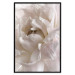 Poster Fluffy Absent-mindedness - white velvety flower in light composition 127832 additionalThumb 18