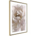 Poster Fluffy Absent-mindedness - white velvety flower in light composition 127832 additionalThumb 7