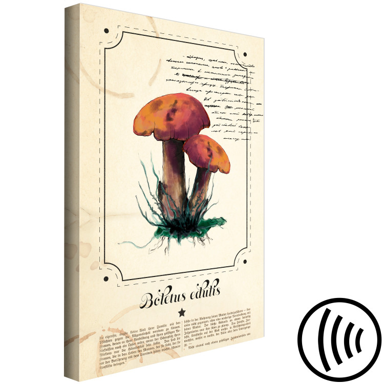 Canvas Print Mushroom Atlas (1-part) vertical - mushrooms in Provencal motif 129532 additionalImage 6