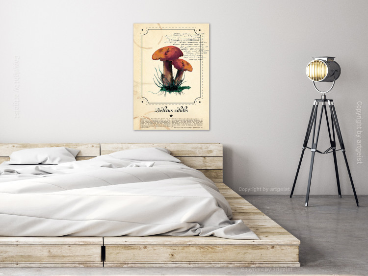 Canvas Print Mushroom Atlas (1-part) vertical - mushrooms in Provencal motif 129532 additionalImage 3