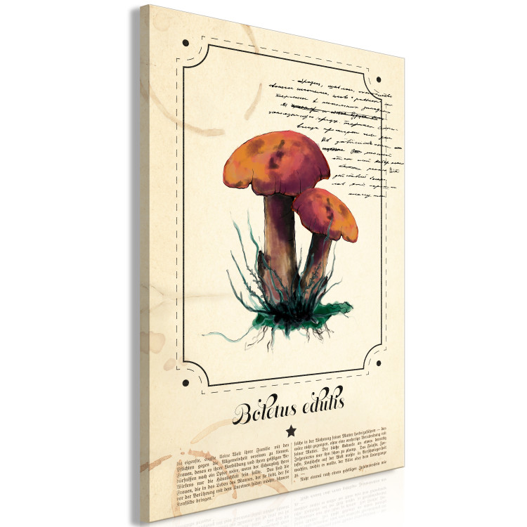 Canvas Print Mushroom Atlas (1-part) vertical - mushrooms in Provencal motif 129532 additionalImage 2