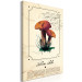Canvas Print Mushroom Atlas (1-part) vertical - mushrooms in Provencal motif 129532 additionalThumb 2