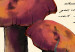 Canvas Print Mushroom Atlas (1-part) vertical - mushrooms in Provencal motif 129532 additionalThumb 4