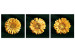 Canvas Art Print Golden sunflowers - glamour style triptych with golden flowers 132132