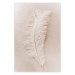 Wall Poster Quiet Memory - simple beige-pink composition with a bird feather 136532