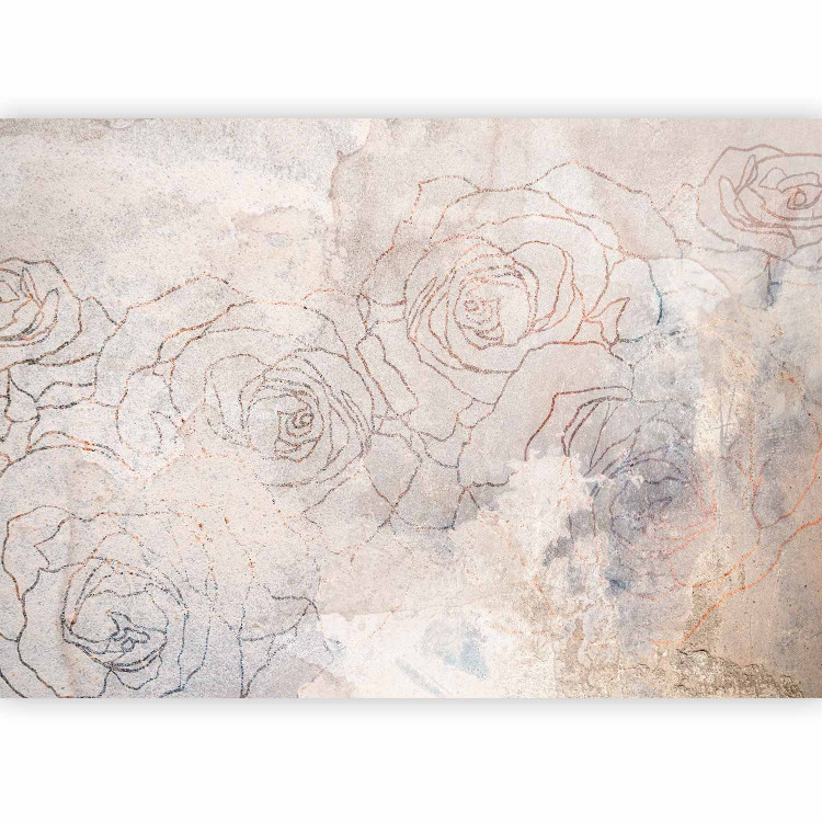 Wall Mural Floral sky - delicate abstraction with flowers and lineart effect 143732 additionalImage 5