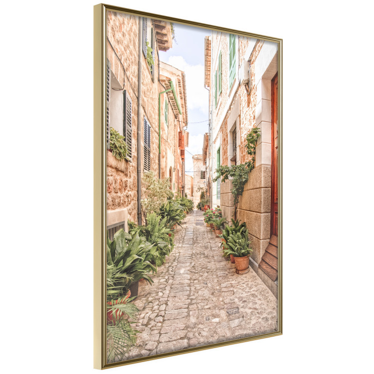Poster Quiet Street - View of Historic Buildings and Vegetation 145232 additionalImage 7