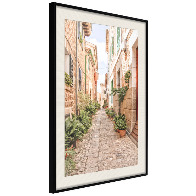 Poster Quiet Street - View of Historic Buildings and Vegetation 145232 additionalImage 11