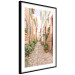 Poster Quiet Street - View of Historic Buildings and Vegetation 145232 additionalThumb 8