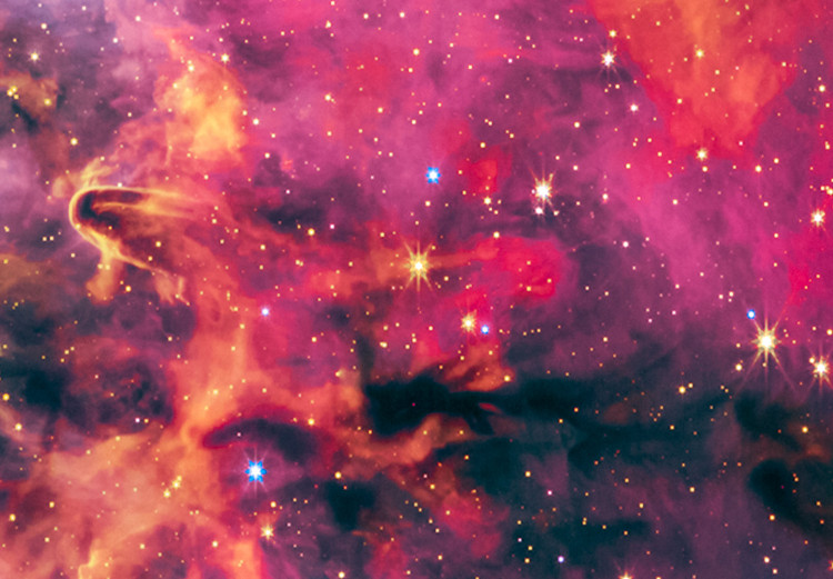 Canvas Art Print Carina Nebula - View of the Cosmos From Jamess Webb’s Telescope 146232 additionalImage 4