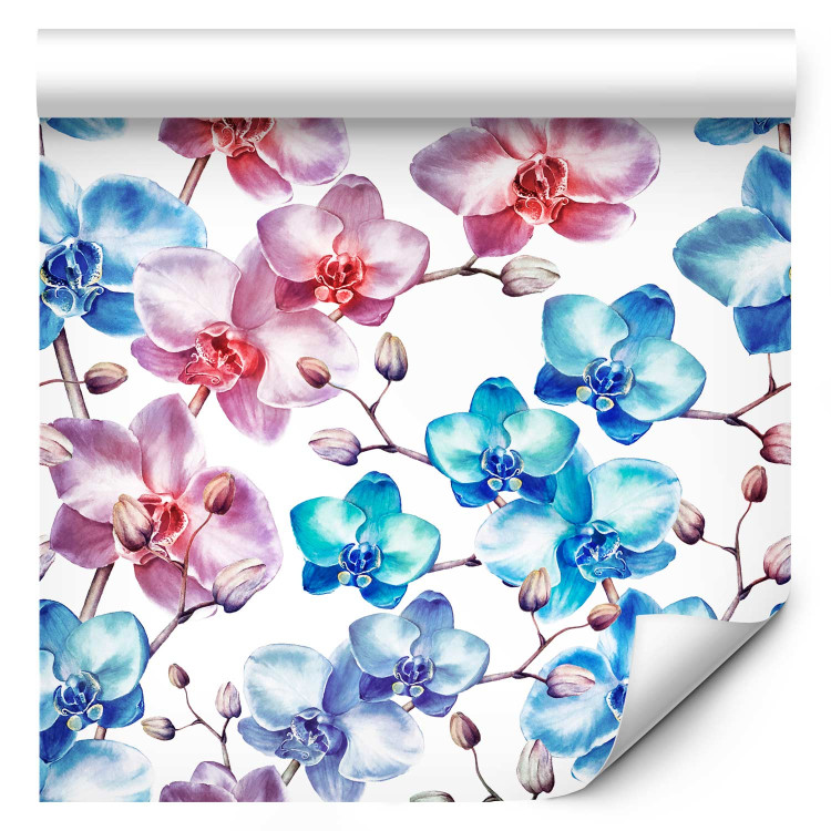 Wallpaper Beautiful Orchid - Pink and Blue Flowers on a White Background 150032 additionalImage 1