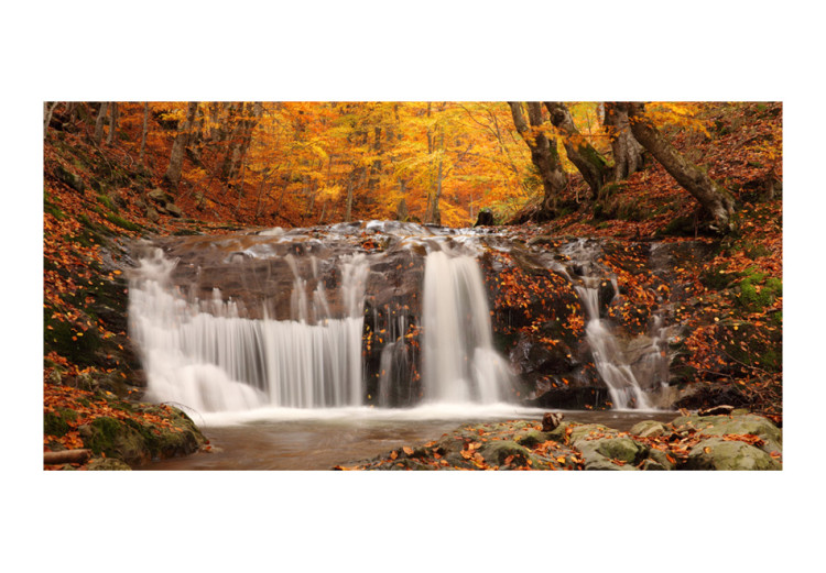 Photo Wallpaper Autumn forest with waterfall - landscape with trees in golden colors 60032 additionalImage 1