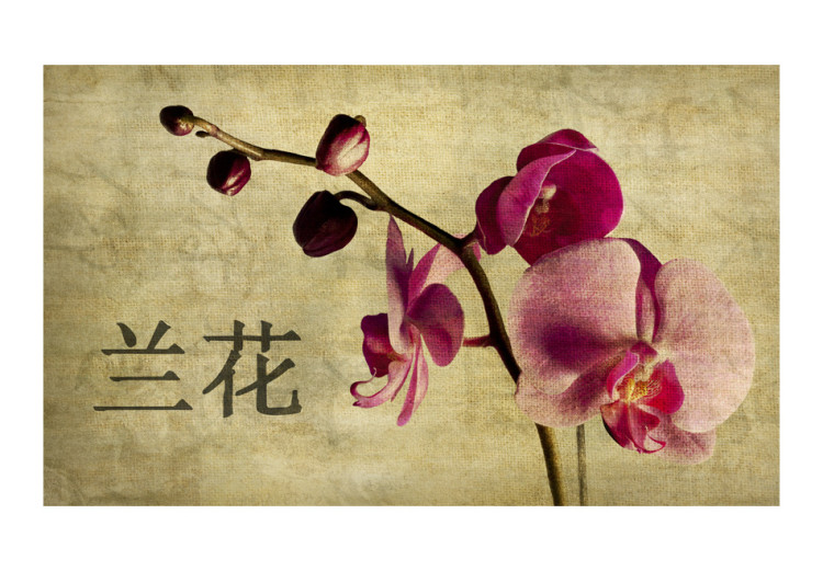 Photo Wallpaper Japanese orchid 60232 additionalImage 1