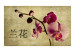 Photo Wallpaper Japanese orchid 60232 additionalThumb 1