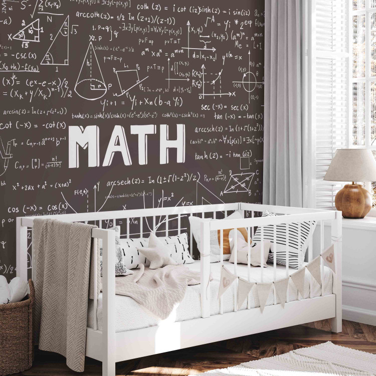 Wall Mural Mathematics - blackboard with writing and mathematical formulas for a room 90332 additionalImage 6