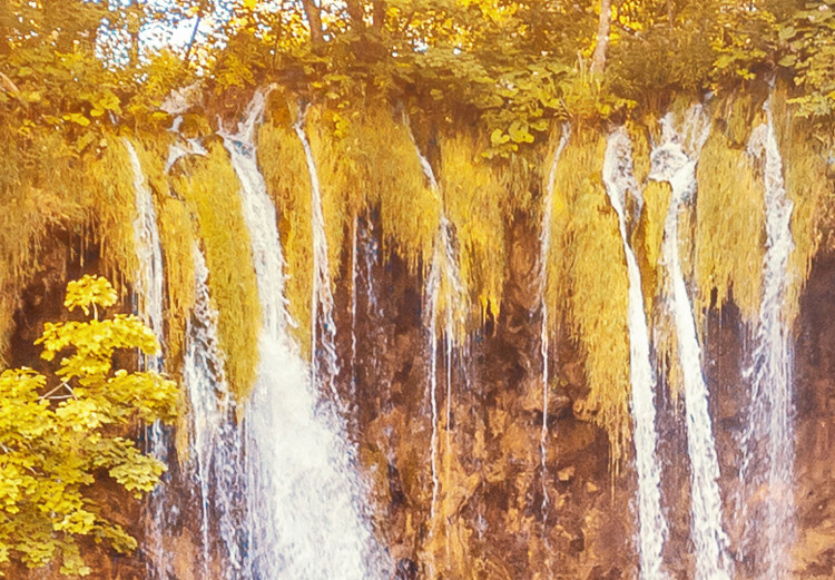 Canvas Print Waterfalls of Sunny Forest 97732 additionalImage 4