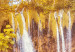 Canvas Print Waterfalls of Sunny Forest 97732 additionalThumb 4