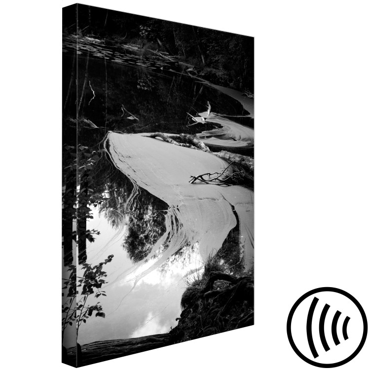 Canvas Print Pond - Dark Water Landscape on Black and White Photo 115042 additionalImage 6