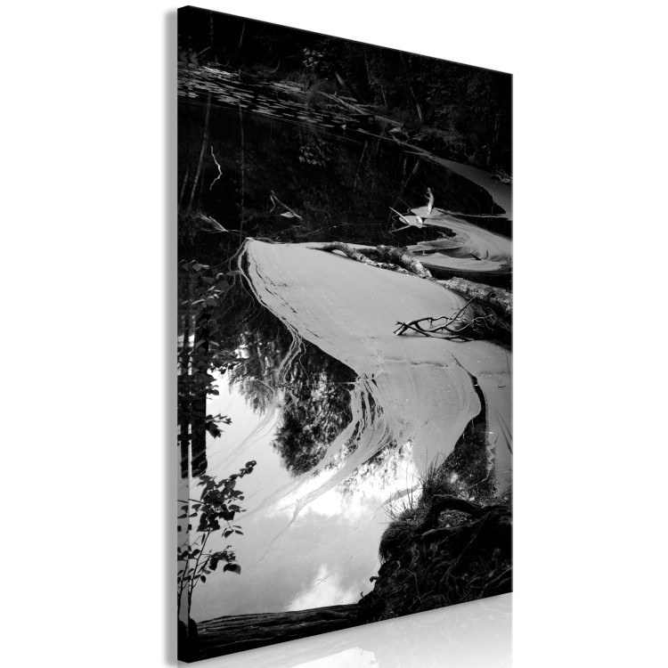 Canvas Print Pond - Dark Water Landscape on Black and White Photo 115042 additionalImage 2