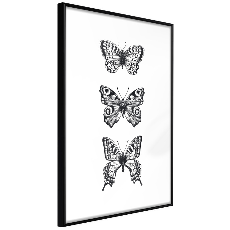 Gallery wall art Butterflies 124759 additionalImage 3