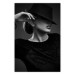 Poster Dreamer - black and white elegant portrait of woman with hat 123642