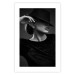 Poster Dreamer - black and white elegant portrait of woman with hat 123642 additionalThumb 25