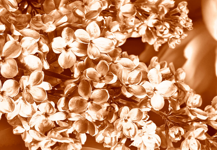 Canvas Print Autumn flowers in sepia - monochrome photo with a bouquet of flowers 123842 additionalImage 5