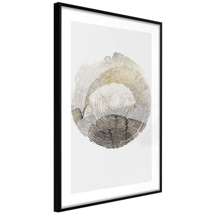 Wall Poster Trace - light composition with the texture of a tree cross-section on a white background 127342 additionalImage 8