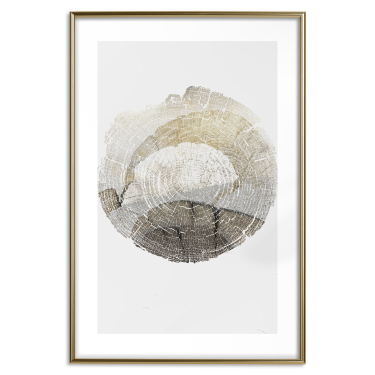 Wall Poster Trace - light composition with the texture of a tree cross-section on a white background 127342 additionalImage 14