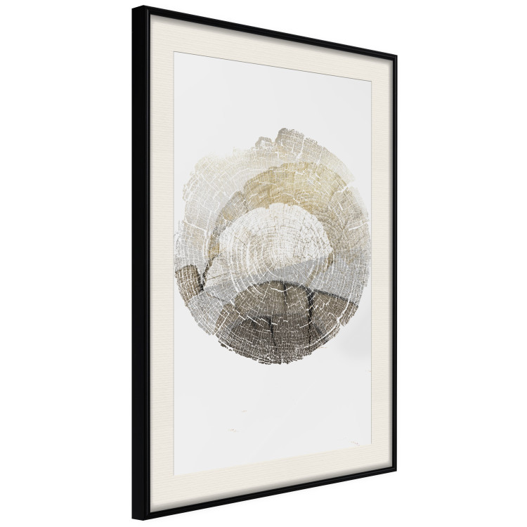 Wall Poster Trace - light composition with the texture of a tree cross-section on a white background 127342 additionalImage 2