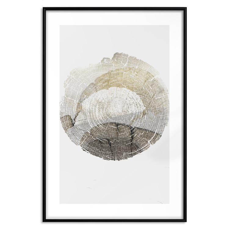 Wall Poster Trace - light composition with the texture of a tree cross-section on a white background 127342 additionalImage 17