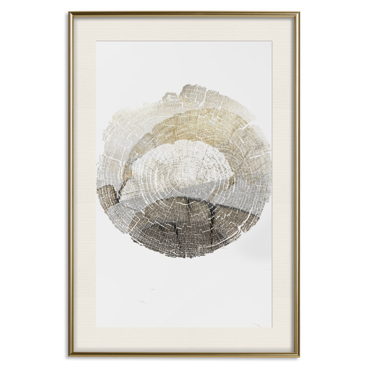 Wall Poster Trace - light composition with the texture of a tree cross-section on a white background 127342 additionalImage 20