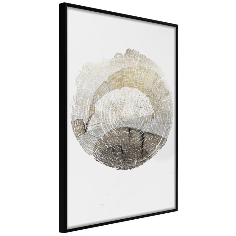 Wall Poster Trace - light composition with the texture of a tree cross-section on a white background 127342 additionalImage 13