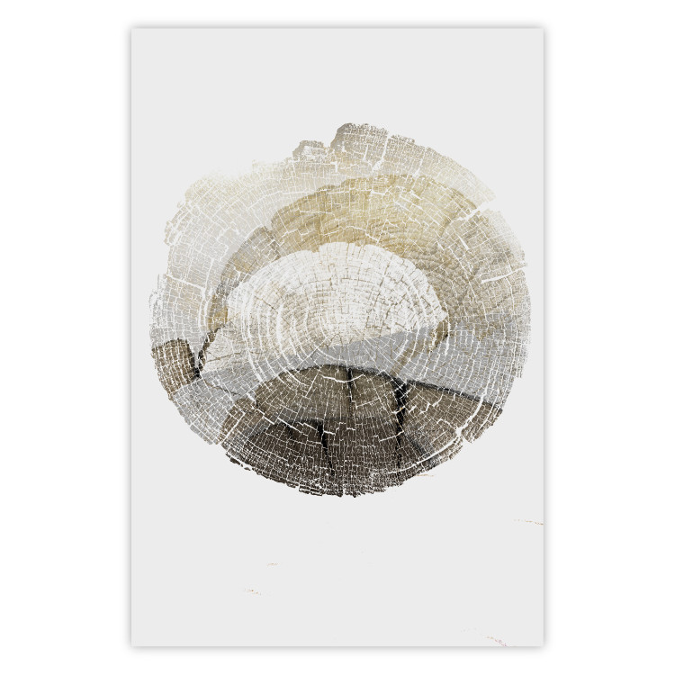 Wall Poster Trace - light composition with the texture of a tree cross-section on a white background 127342