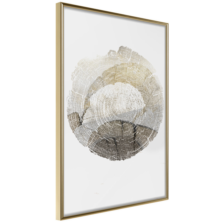 Wall Poster Trace - light composition with the texture of a tree cross-section on a white background 127342 additionalImage 12