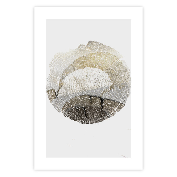Wall Poster Trace - light composition with the texture of a tree cross-section on a white background 127342 additionalImage 25